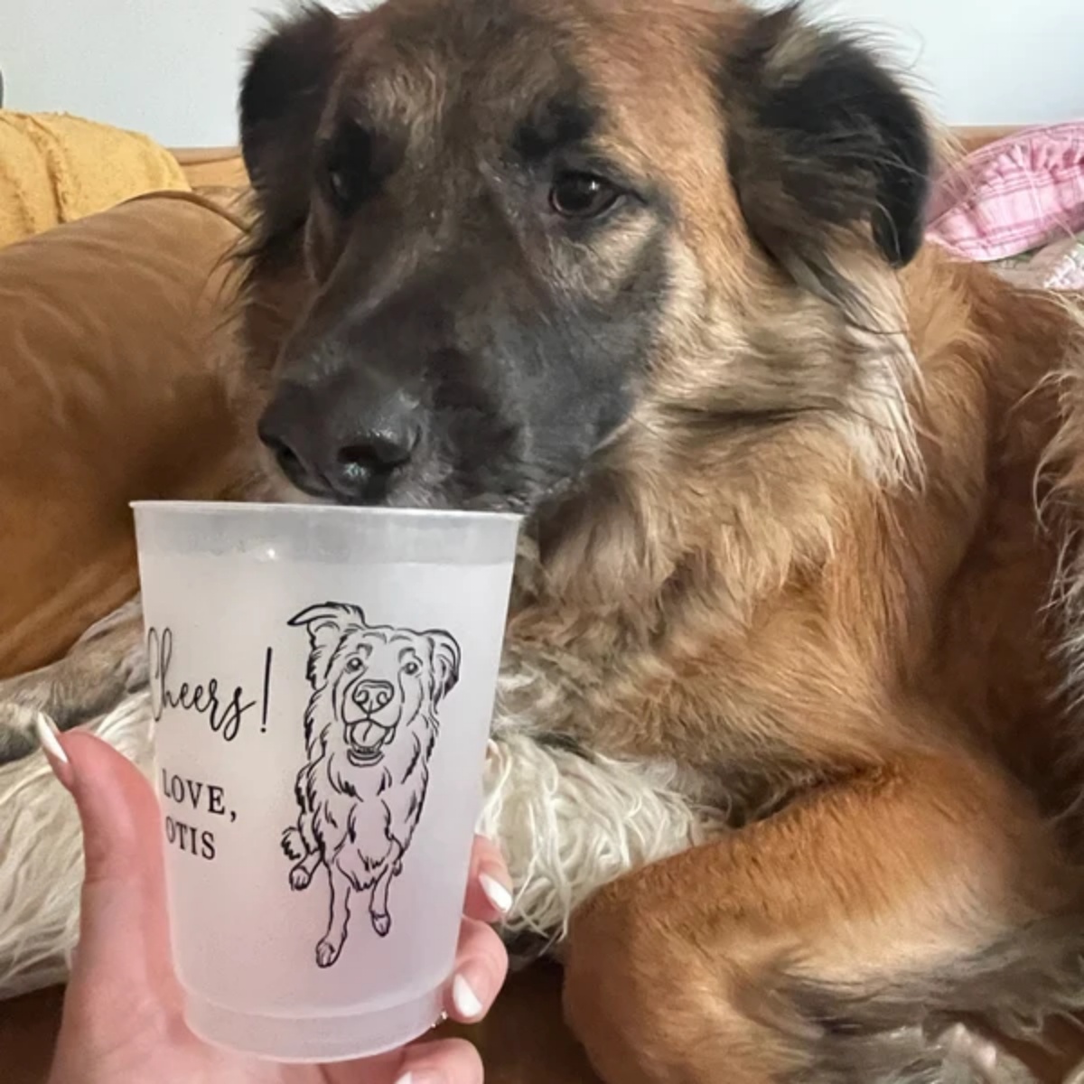 10/50 Bicchieri in Plastica Sa - Plastic Cup 50Pcs recensione e prezzo