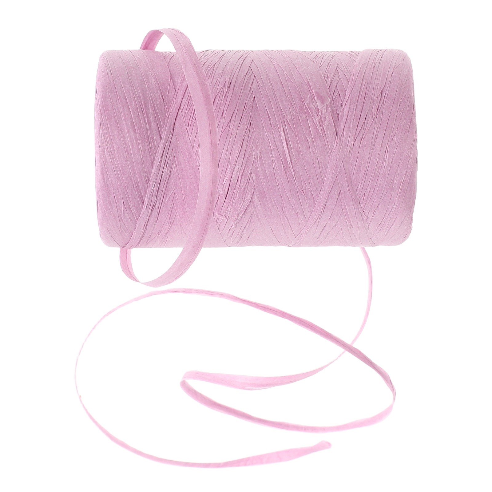 Nastro di carta rafia piatto c - Papercraft Supply Ribbon recensione e prezzo
